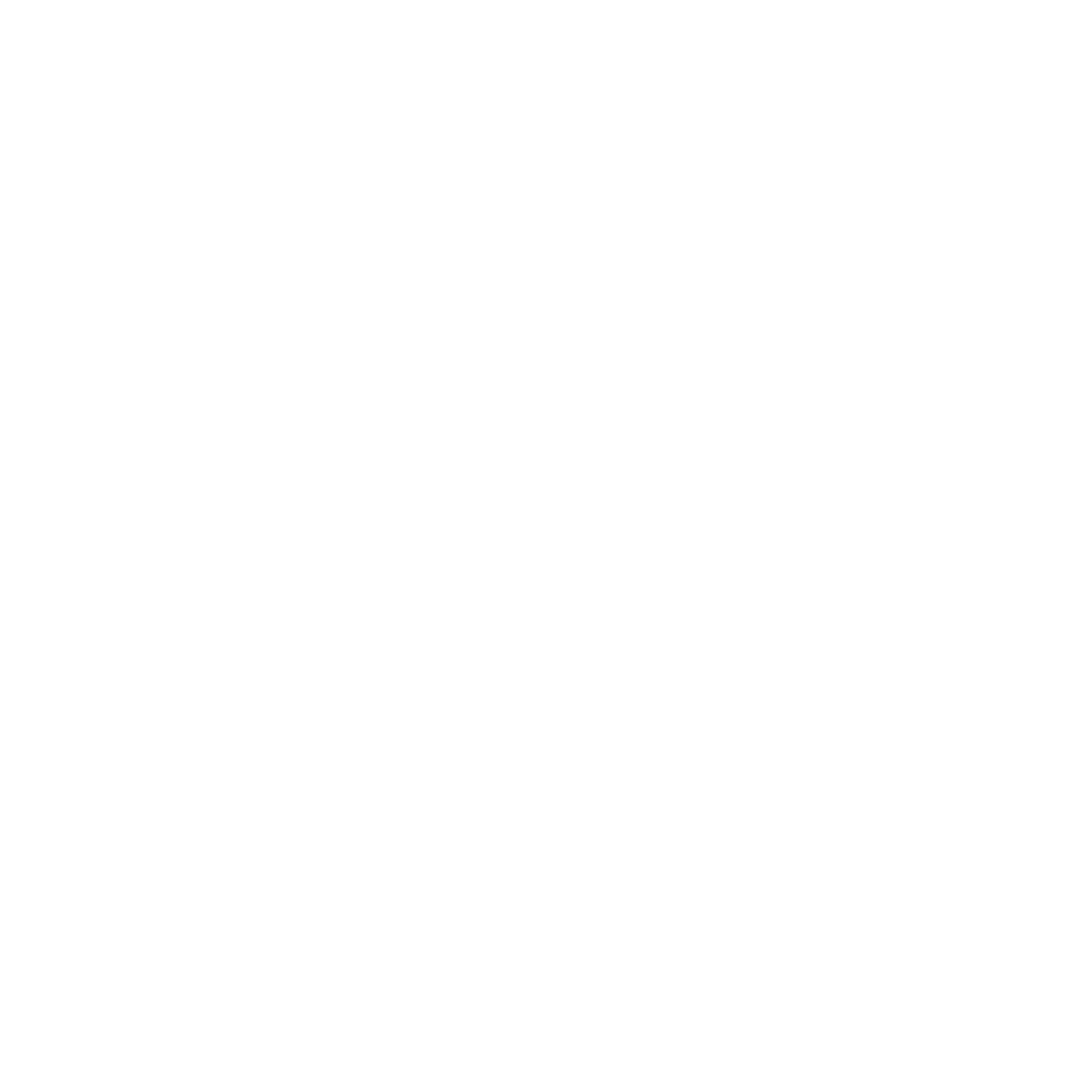 Victorinox